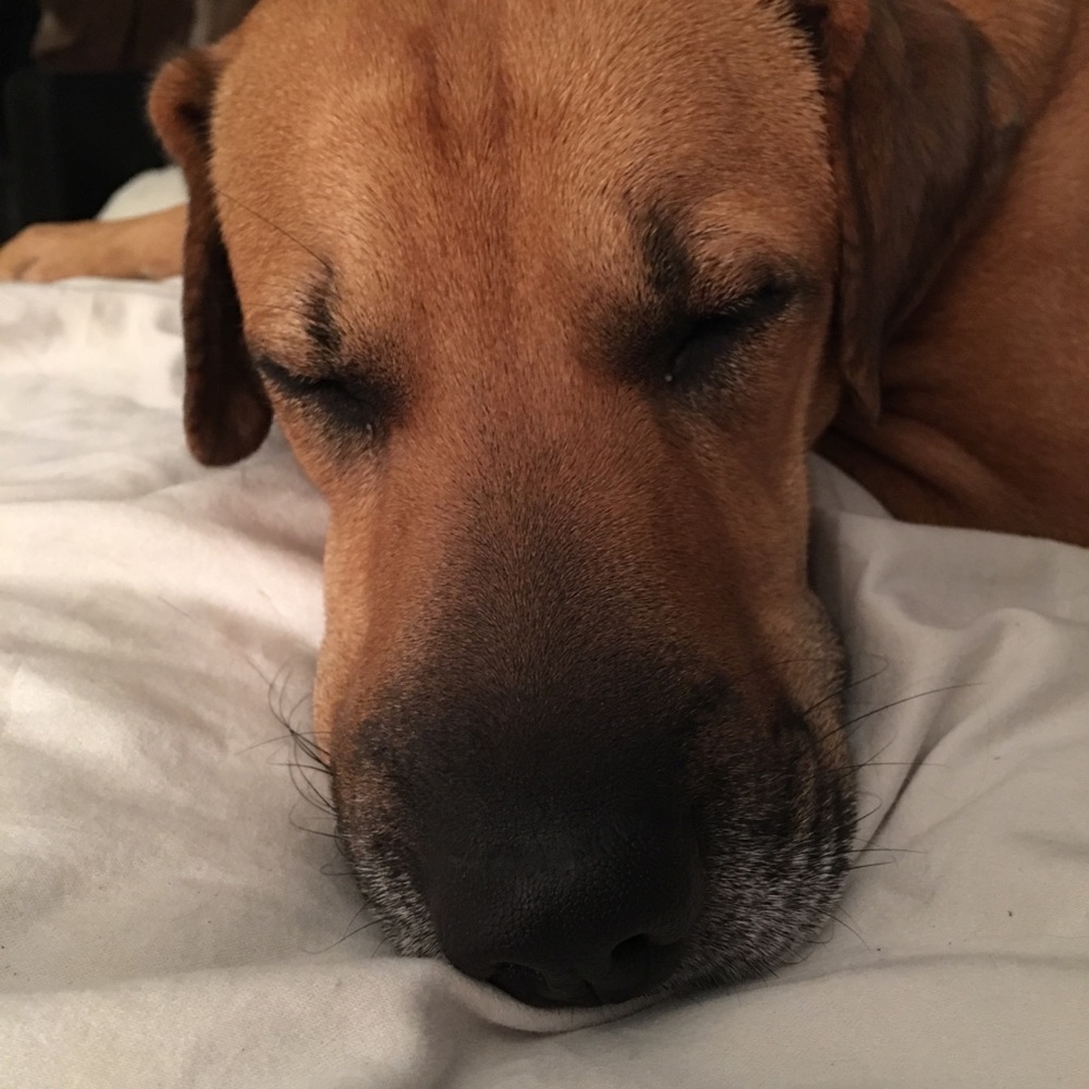 Meet your Posher, Angella